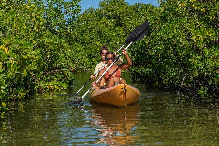 Tour en kayak por Manglar de 1 hora