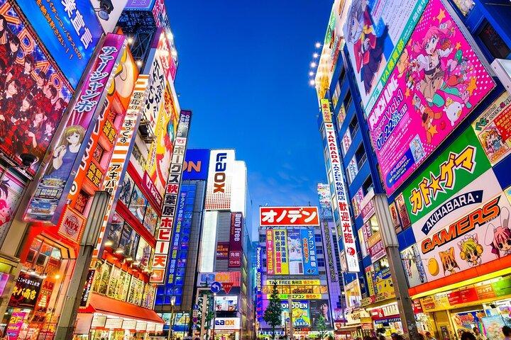 Circuit multiple de 4 jours Tokyo Fuji Nikko Kamakura Visite privée