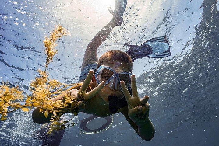 Fra Hoi An: Cham Islands snorkeltur med afslappende strand