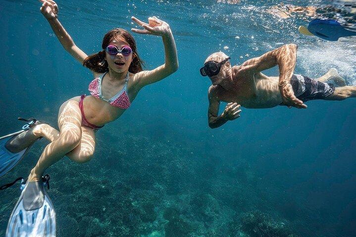 Fra Hoi An: Cham Islands snorkeltur med afslappende strand