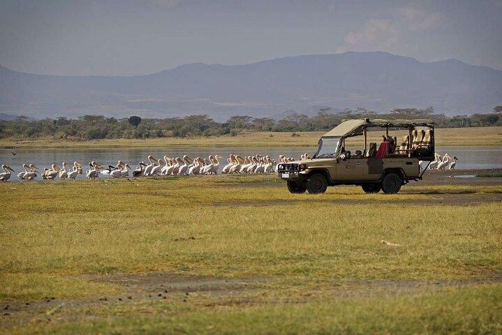 Amboseli Nationalpark 4WD Tour von Nairobi