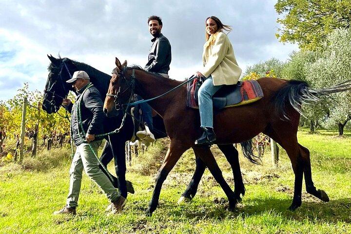 モンテプルチャーノでの乗馬農場見学とランチ