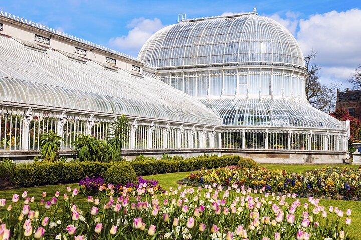 Private Belfast Tour – Kultur, Geschichte & moderner Charme