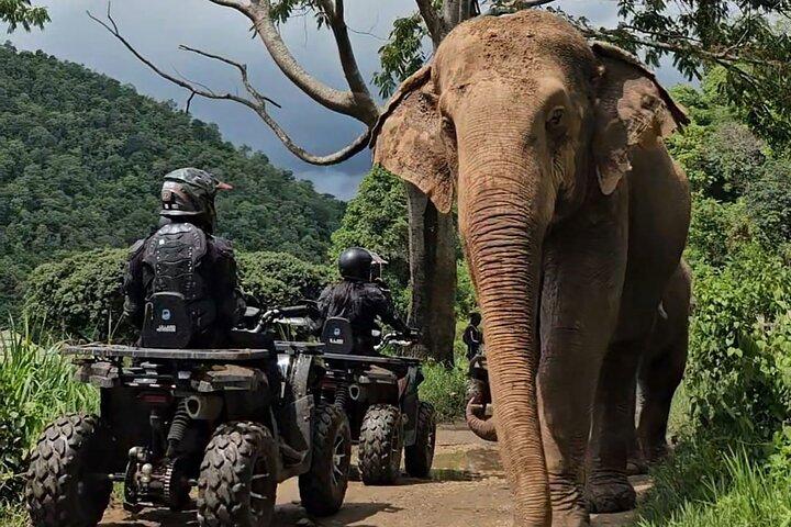 Chiang Mai Sticky Waterfall Tour ATV and Scenic Café