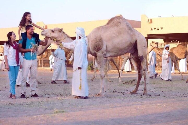 1 - Hora de passeio de camelo pelo deserto – Sharm El Sheikh