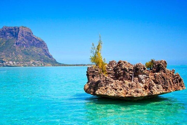 Mauritius Dolphin Swim Turtle Watch und Île aux Benitiers BBQ