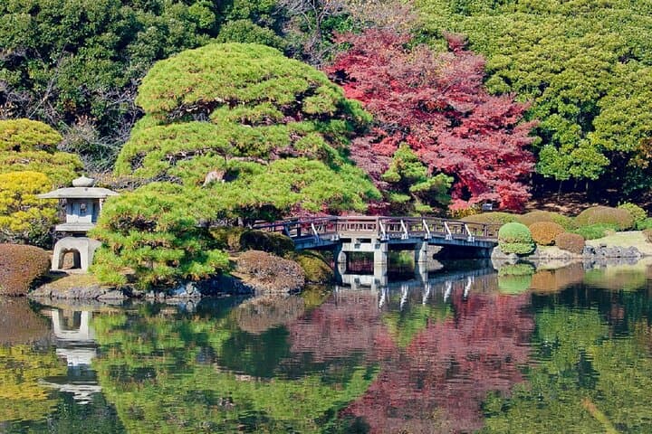 Shinjuku Gyoen National Garden 2 Hour Walking Tour