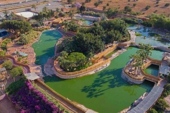 Agadir Wildlife: Crocoparc, Lion Park & Optional Quad Bike Tour