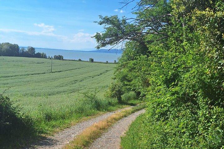 L'incantesimo del Lago Trasimeno - Trekking Tour