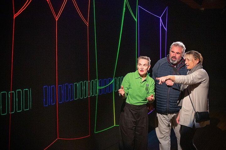 Museum van NZ Te Papa Tongarewa : Kunstverhalen Tour