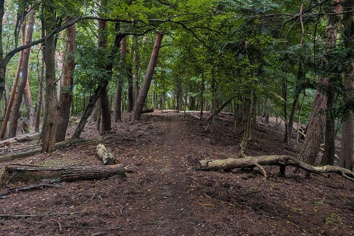 Matsumoto City och Trail Guided Run