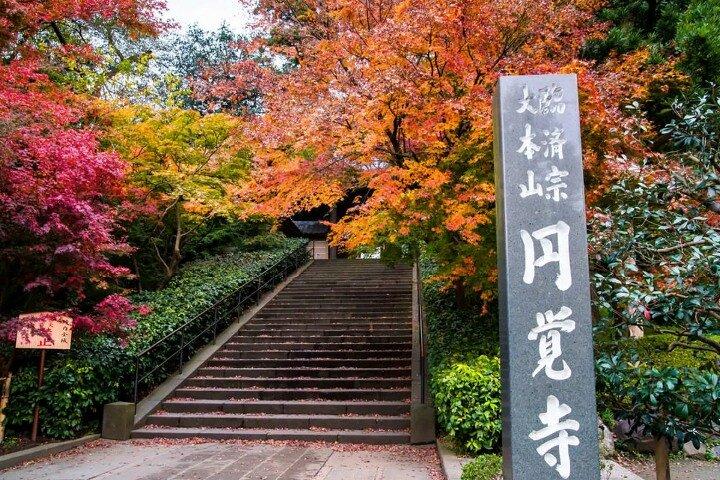 Private Temples and Nature in North Kamakura Walking Tour