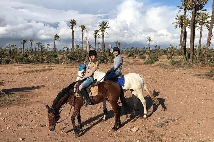 Horseback Ride in Marrakech Palmeraie with Mint Tea