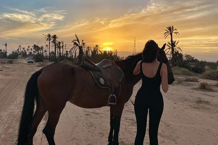 Horseback Ride in Marrakech Palmeraie with Mint Tea