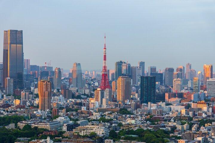 Private Shore Tour : Tokyo Highlights & Hidden Gems
