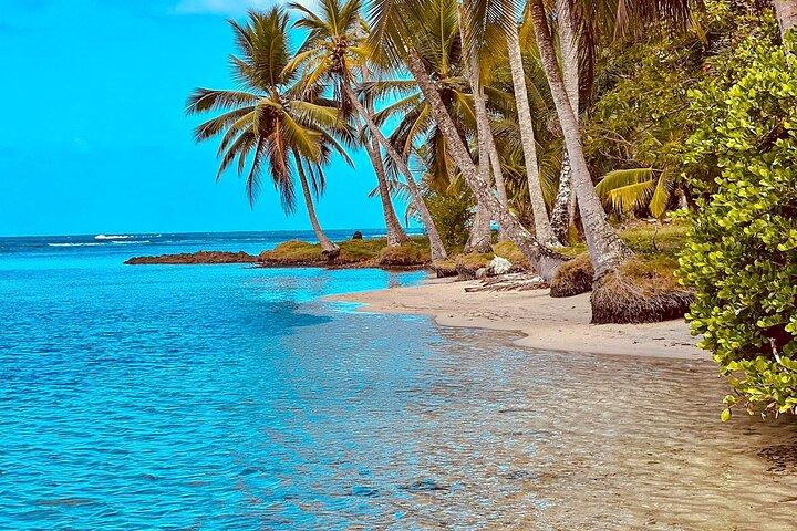Caribbean Catamaran Escape: Strande, snorkling og frokost