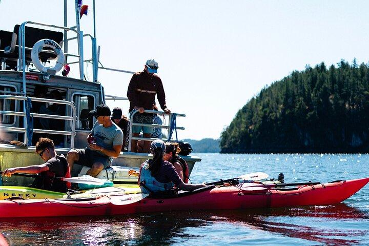 Campbell River: passeio de caiaque e observação de baleias