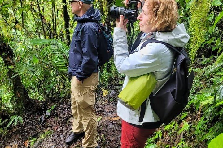 Privat Papallacta Hot Springs och Birdwatching Reserve dagstur