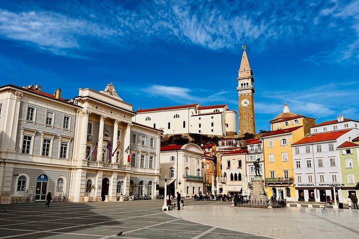 Slovenian Coast & Wine Private Tour med smagsprøver fra Ljubljana