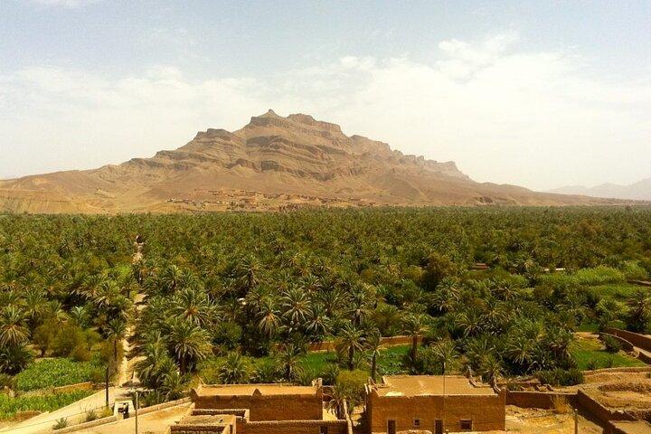 Zagora and Draa Valley Day Trip from Ouarzazate with Lunch