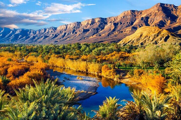 Zagora and Draa Valley Day Trip from Ouarzazate with Lunch