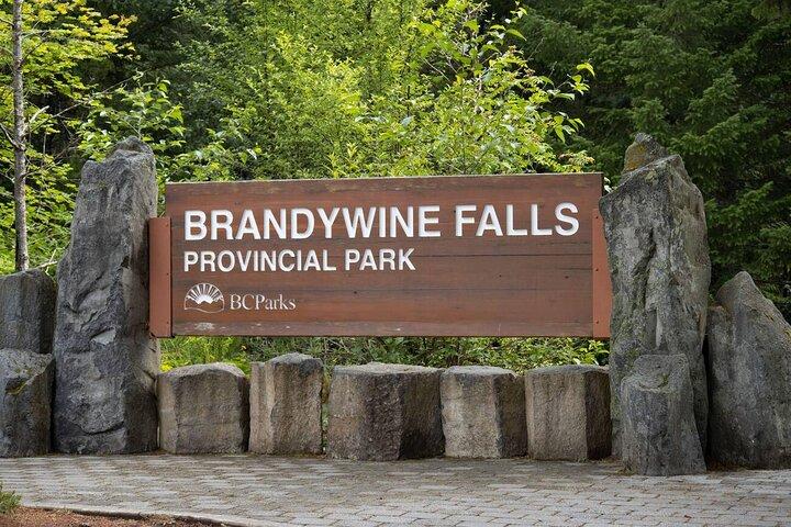 Private Tagestour von Whistler Sea nach Sky und Brandywine Falls