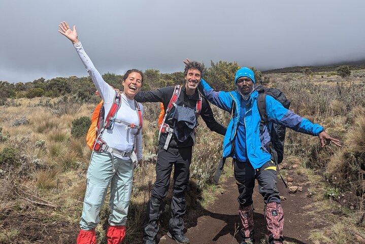 6 - Dag Kilimanjaro Marangu Route Gruppklättring Äventyr