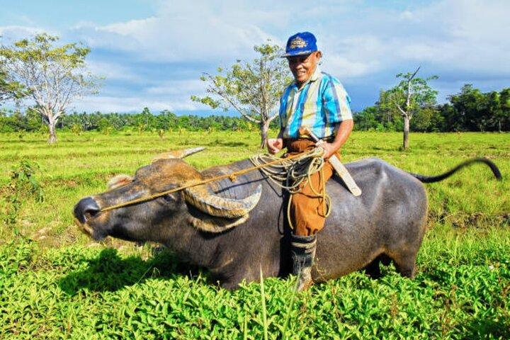 Puerto Princesa Platteland: Boerderij naar strand & weefervaring