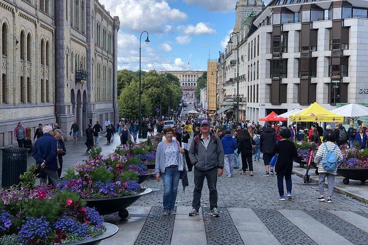 Oslo Private Walking Tour com um local
