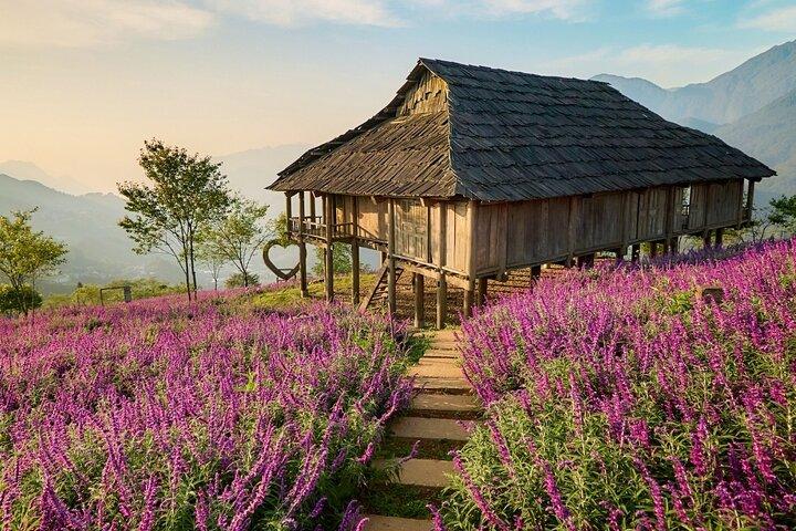 Conquer Fansipan Sapa: Photos on the Clouds – Roof of Indochina