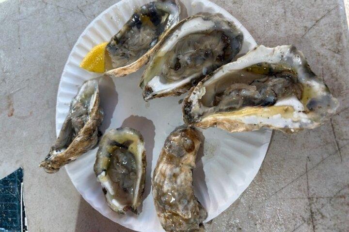Trigo, chá e doces em Boston Food History Walking Tour