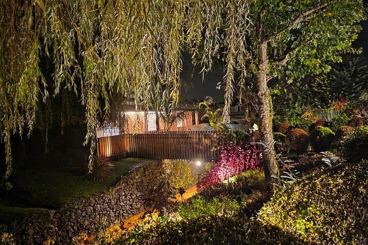 São Miguel: Vulcanic Experience in Furnas (W/ thermal pools)