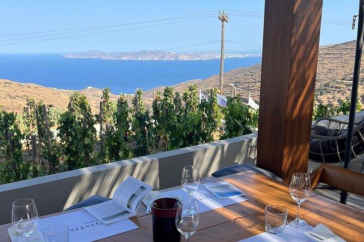 Wijnproeverij in Tinos : Terrastour met zeezicht & Sommelier Gids