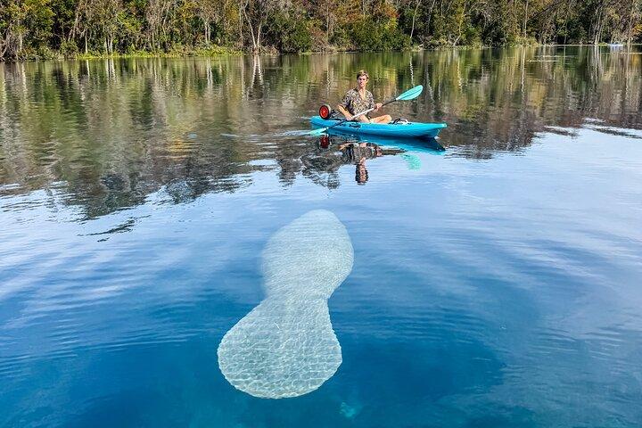Silver Springs Glass Bottom Kayak SMALL GROUP Wildlife Tours