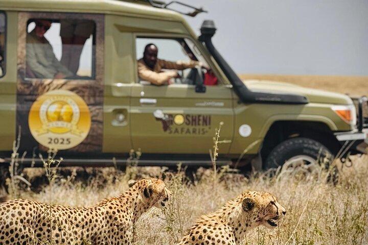 8-daagse Essentie van Tanzania Safari – Luxe ervaring