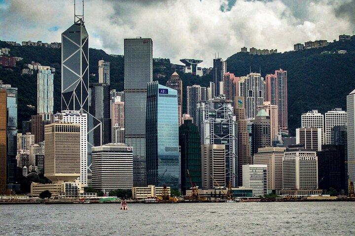香港ビジネス代表:現地執行