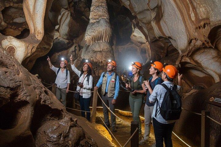 Tour di mezza giornata della culla dell'umanità