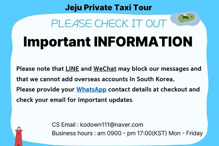Excursion en taxi sur l'île de Jeju: excursion d'une journée dans le sud