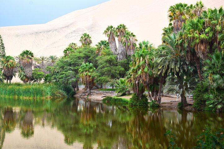Ica & Huacachina Adventure : Excursion privée à terre au départ de Pisco/Paracas