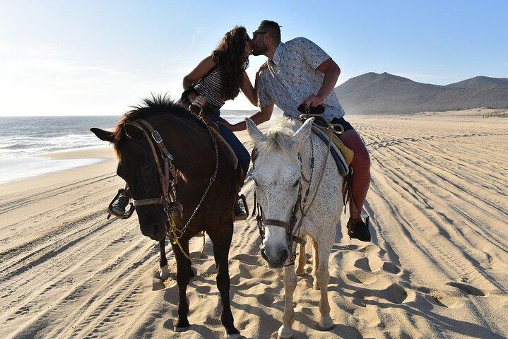 Cabo San Lucas Sunset Horseback Ride on the Beach