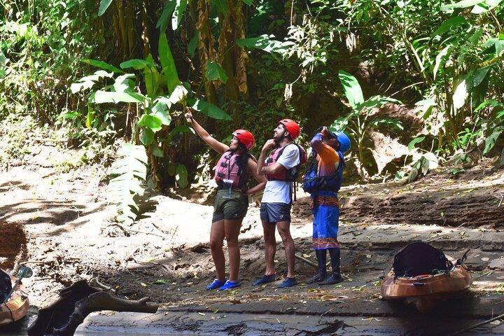 Peñas Blancas River : Wildlife Safari Experience by Kayak