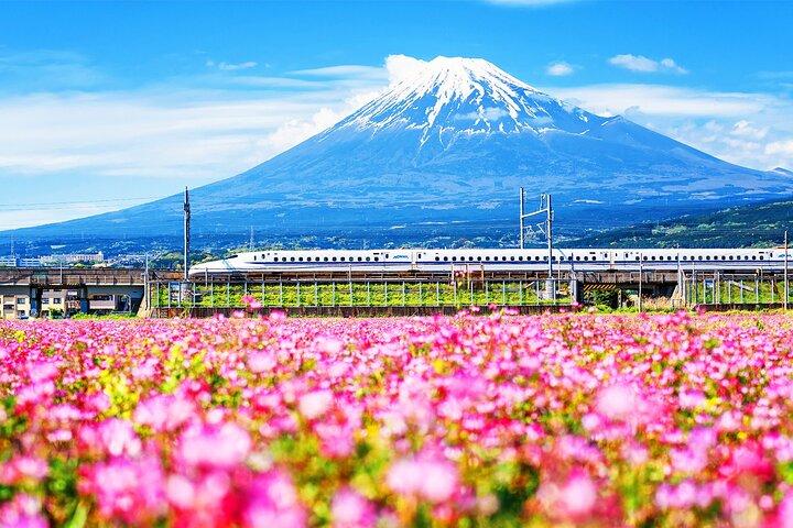 Excursión de un día al Monte Fuji y Hakone con regreso al tren bala