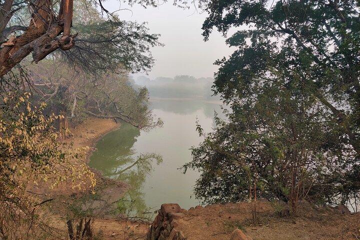 Forest Trail Hiking Adventure-Gurgaon por @Aravali.Hikes