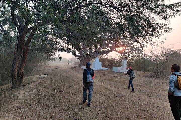 Forest Trail Hiking Adventure-Gurgaon por @Aravali.Hikes
