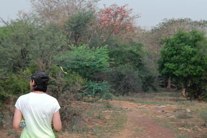 Forest Trail Hiking Adventure-Gurgaon por @Aravali.Hikes