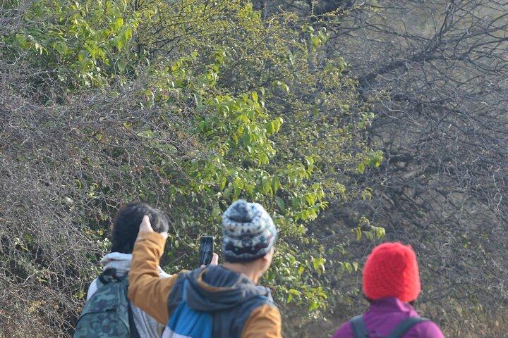 Forest Trail Hiking Adventure-Gurgaon por @Aravali.Hikes