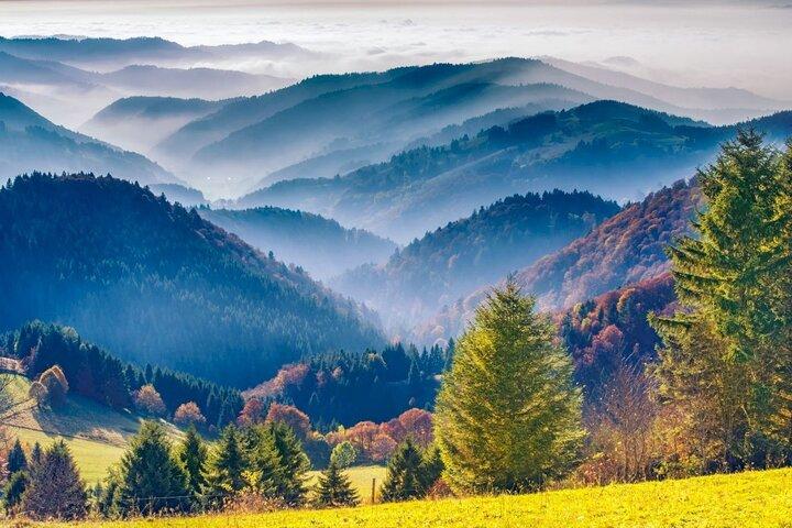 Schwarzwald Tagesausflug von Straßburg : Baden Baden & Weinstraße