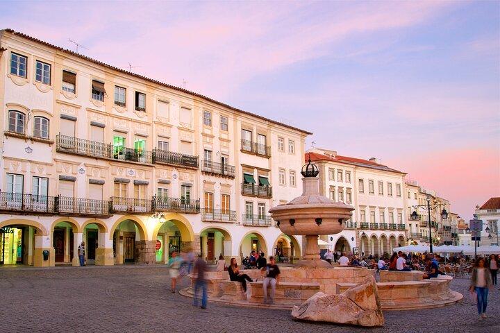 Évora: Private walking tour with tickets to main monuments