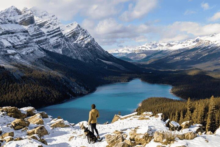 6 - Tagestour Vancouver nach Calgary Bus & Bahn mit Banff & Jasper
