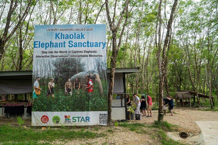 1-times guidet Khaolak Elephant Sanctuary Observation Tour
